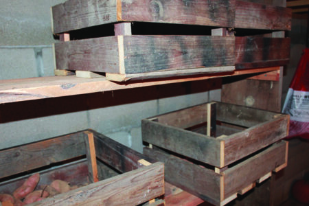 wooden crates used to store root crops